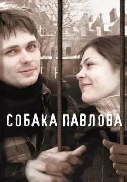 Собака Павлова (2005) cериал скачать через торрент в хорошем качестве