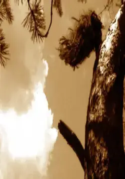 Убитые молнией (2002) через торрент скачать Убитые молнией (2002) фильм через торрент скачать