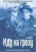 Иду на грозу / Going Inside a Storm (1965) фильм скачать через торрент в хорошем качестве
