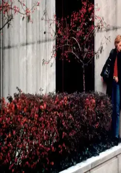 Колледж (2001) через торрент бесплатно Колледж (2001) фильм через торрент бесплатно