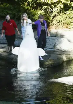 Двое на дороге (2011) через торрент скачать Двое на дороге (2011) фильм через торрент скачать