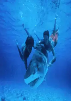 Ловец акул с острова Бора-Бора (1979) через торрент бесплатно Ловец акул с острова Бора-Бора (1979) фильм через торрент бесплатно