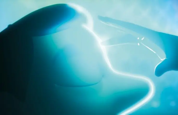 Санджай и его команда (2015) через торрент скачать Санджай и его команда (2015) мультфильм через торрент скачать