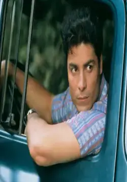 Танцуй со мной (1998) через торрент скачать Танцуй со мной (1998) фильм через торрент скачать