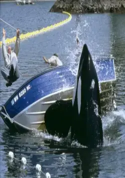 Освободите Вилли 2: Новое приключение (1995) через торрент скачать Освободите Вилли 2: Новое приключение (1995) фильм через торрент скачать