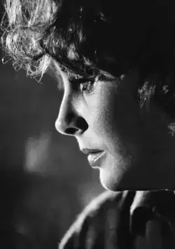 Кто боится Вирджинии Вульф? (1966) через торрент скачать Кто боится Вирджинии Вульф? (1966) фильм через торрент скачать