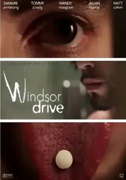 Виндзор Драйв / Windsor Drive (2015) фильм скачать через торрент в хорошем качестве