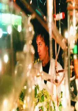 Дежурный аптекарь (2003) в хорошем качестве через торрент Дежурный аптекарь (2003) фильм в хорошем качестве через торрент