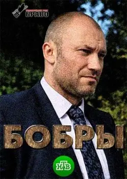Бобры (2018) cериаланиме скачать через торрент в хорошем качестве