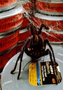 Боязнь пауков (1990) через торрент скачать Боязнь пауков (1990) фильм через торрент скачать