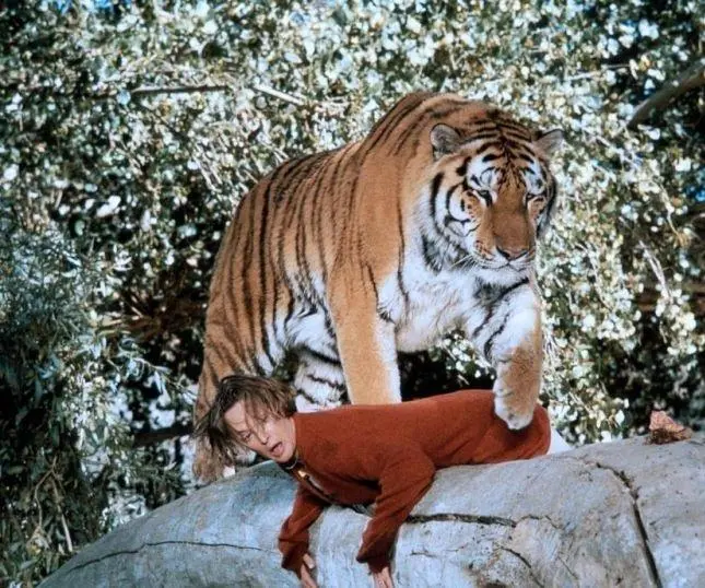 Рев (1981) через торрент бесплатно Рев (1981) фильм через торрент бесплатно