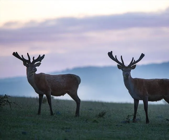 Времена года (2015) в хорошем качестве через торрент Времена года (2015) фильм в хорошем качестве через торрент