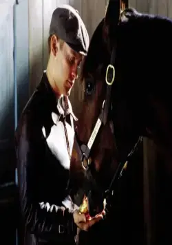 Фаворит (2003) через торрент скачать Фаворит (2003) фильм через торрент скачать