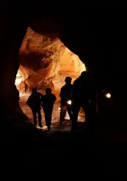 Три сыщика и тайна острова Скелетов (2007) через торрент скачать Три сыщика и тайна острова Скелетов (2007) фильм через торрент скачать