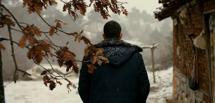 Дикая груша (2018) в хорошем качестве через торрент Дикая груша (2018) фильм в хорошем качестве через торрент