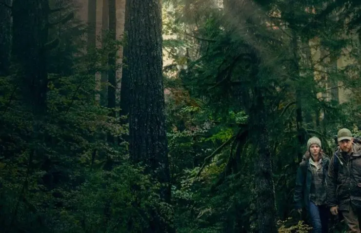 Не оставляй следов (2018) через торрент скачать Не оставляй следов (2018) фильм через торрент скачать