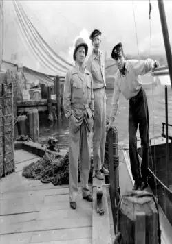 Иметь и не иметь (1944) через торрент бесплатно Иметь и не иметь (1944) фильм через торрент бесплатно