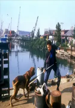 Тёрнер и Хуч (1989) через торрент скачать Тёрнер и Хуч (1989) фильм через торрент скачать