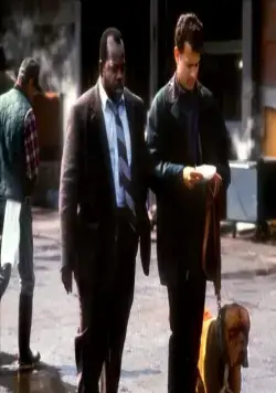 Тёрнер и Хуч (1989) через торрент бесплатно Тёрнер и Хуч (1989) фильм через торрент бесплатно