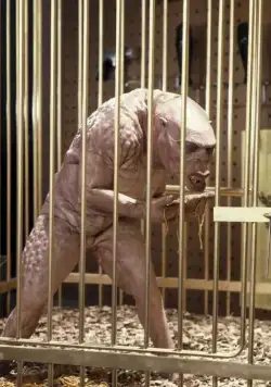 Врата 2: Нарушители (1990) в хорошем качестве через торрент Врата 2: Нарушители (1990) фильм в хорошем качестве через торрент