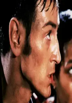 Осиное гнездо (2001) через торрент скачать Осиное гнездо (2001) фильм через торрент скачать