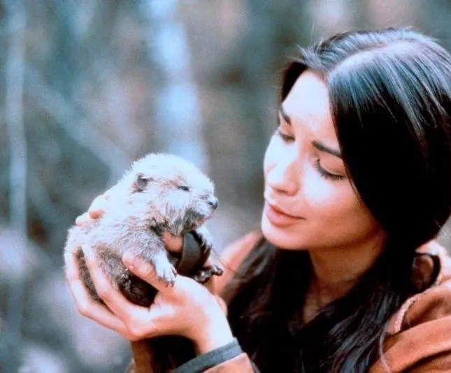 Серая сова (1999) через торрент скачать Серая сова (1999) фильм через торрент скачать