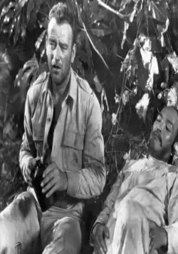 Возвращение на Батаан (1945) через торрент бесплатно Возвращение на Батаан (1945) фильм через торрент бесплатно