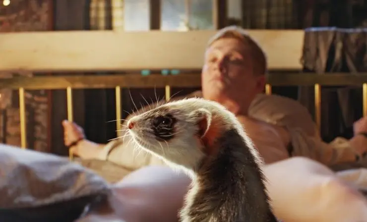 Отцовство (2014) через торрент скачать Отцовство (2014) фильм через торрент скачать