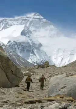 Самая дикая мечта (2010) через торрент скачать Самая дикая мечта (2010) фильм через торрент скачать