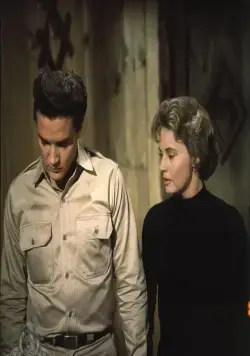 Малыш Галахад (1962) через торрент скачать Малыш Галахад (1962) фильм через торрент скачать