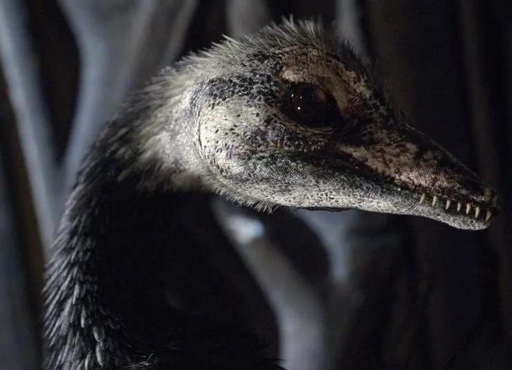 Музей естественной истории с Дэвидом Аттенборо (2014) через торрент бесплатно Музей естественной истории с Дэвидом Аттенборо (2014) фильм через торрент бесплатно