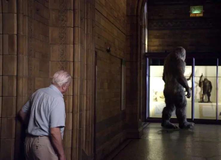 Музей естественной истории с Дэвидом Аттенборо (2014) через торрент скачать Музей естественной истории с Дэвидом Аттенборо (2014) фильм через торрент скачать