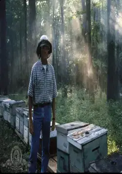 Золото Ули (1996) через торрент бесплатно Золото Ули (1996) фильм через торрент бесплатно