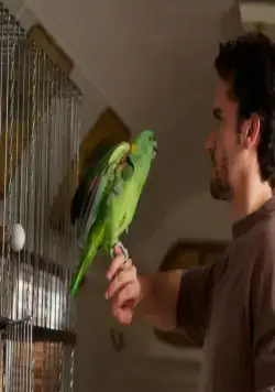 Он, она и попугай (2011) в хорошем качестве через торрент Он, она и попугай (2011) фильм в хорошем качестве через торрент