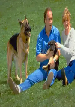 К-9 III: Частные детективы (2002) через торрент бесплатно К-9 III: Частные детективы (2002) фильм через торрент бесплатно