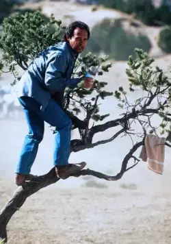 Городские пижоны (1991) через торрент бесплатно Городские пижоны (1991) фильм через торрент бесплатно