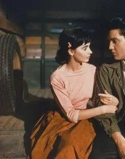 Одиночка (1961) через торрент скачать Одиночка (1961) фильм через торрент скачать