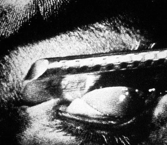 Андалузский пес (1929) в хорошем качестве через торрент Андалузский пес (1929) фильм в хорошем качестве через торрент