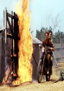 Динозавр: Тайна затерянного мира (1985) в хорошем качестве через торрент Динозавр: Тайна затерянного мира (1985) фильм в хорошем качестве через торрент