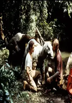 Динозавр: Тайна затерянного мира (1985) через торрент скачать Динозавр: Тайна затерянного мира (1985) фильм через торрент скачать