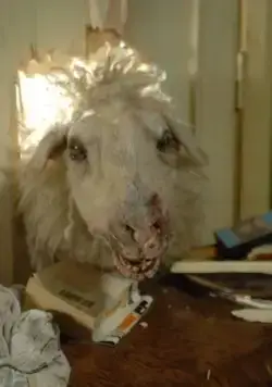 Паршивая овца (2006) через торрент бесплатно Паршивая овца (2006) фильм через торрент бесплатно