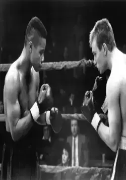 Гладиатор (1992) через торрент бесплатно Гладиатор (1992) фильм через торрент бесплатно