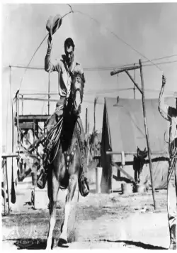 Ковбой и леди (1938) через торрент скачать Ковбой и леди (1938) фильм через торрент скачать