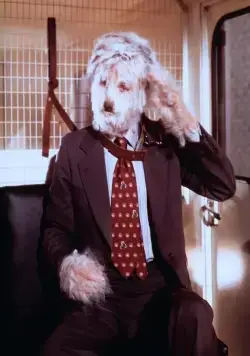 Лохматый прокурор (1976) через торрент бесплатно Лохматый прокурор (1976) фильм через торрент бесплатно