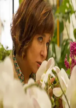 Скрытый цвет вещей (2017) через торрент скачать Скрытый цвет вещей (2017) фильм через торрент скачать