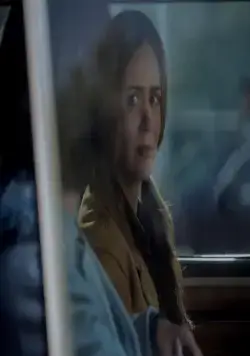 Птичий короб (2018) через торрент скачать Птичий короб (2018) фильм через торрент скачать