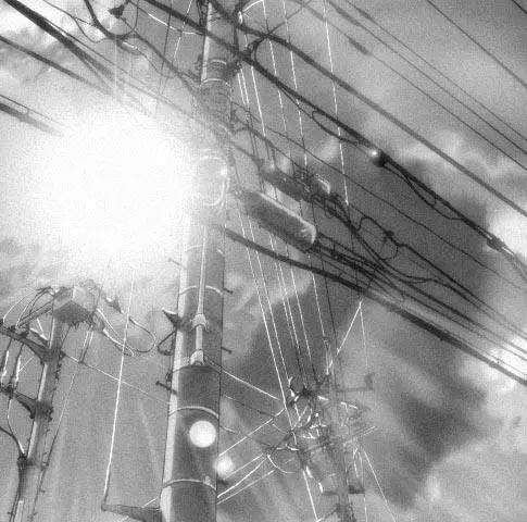 Она и её кот (1999) через торрент бесплатно Она и её кот (1999) мультфильм через торрент бесплатно