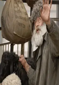 Чёрный баран (2009) через торрент скачать Чёрный баран (2009) фильм через торрент скачать