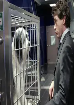 Лохматый папа (2006) в хорошем качестве через торрент Лохматый папа (2006) фильм в хорошем качестве через торрент