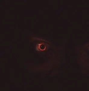 30 дней до рассвета (2006) в хорошем качестве через торрент 30 дней до рассвета (2006) фильм в хорошем качестве через торрент